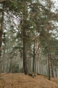 natural portrait photography 2